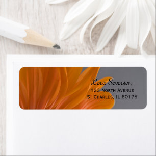 Orange Daisy on Grey Return Address