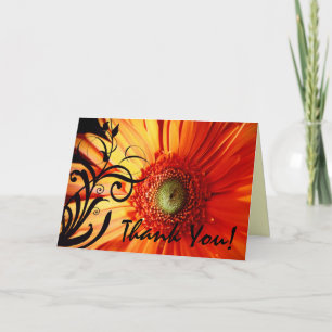 Orange Daisy Thank You