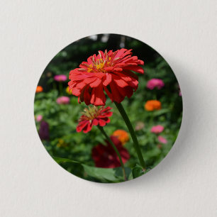Orange daisy, zinnia, cosmo, sunflower garden 2 inch round button