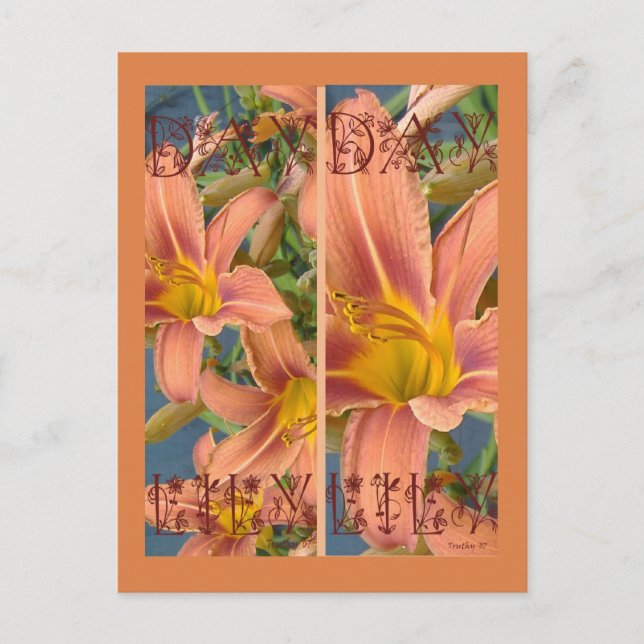 ORANGE DAYLILIES BOOKMARKS POSTCARD (Front)