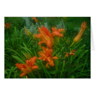 Orange daylilies card