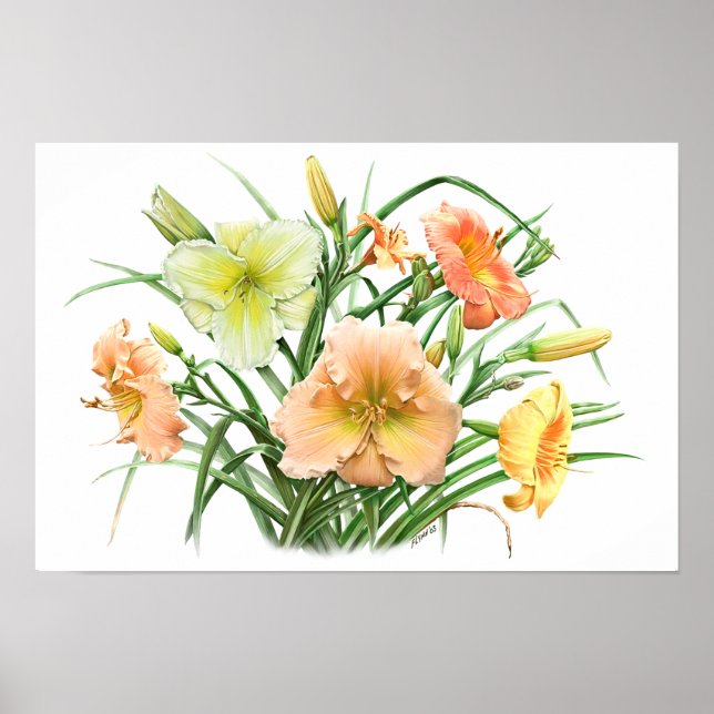 Orange Daylilies Original Botanical Art Print (Front)