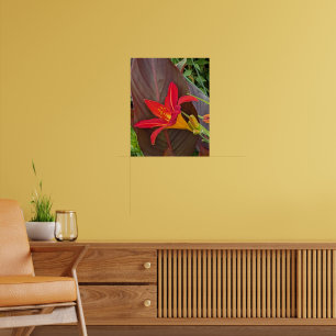 Orange Daylily Bloom and Plant Leaf Poster