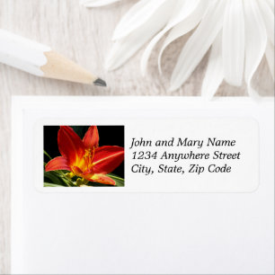 Orange Daylily Bloom Floral Adresse de retour