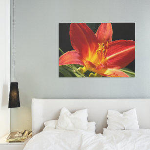 Orange Daylily Bloom Floral Photographic Canvas Print