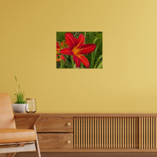 Orange Daylily Bloom Floral Poster