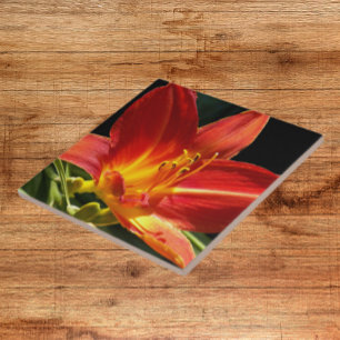Orange Daylily Bloom Floral Tile
