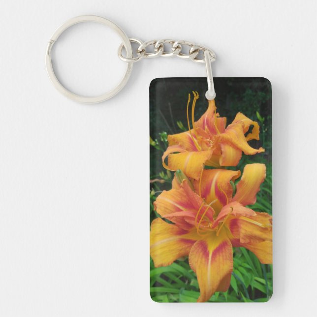 Orange Daylily Blooms (Devant)