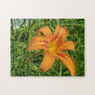 Orange daylily flower jigsaw puzzle