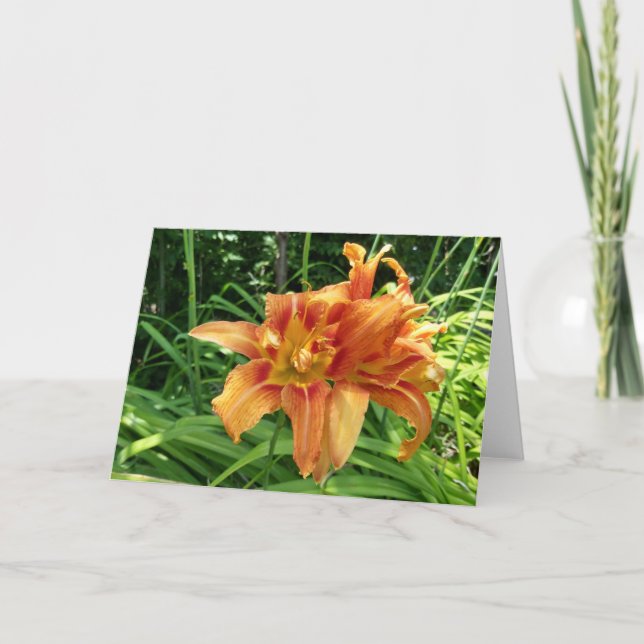 Orange Daylily Flowers Horizontal Card (Front)