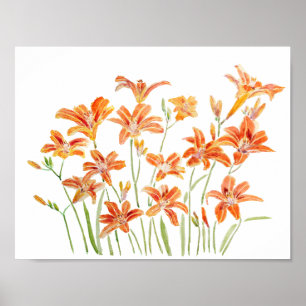 orange daylily watercolor poster