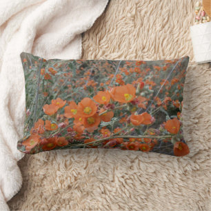 Orange Desert Globemallow Flowers In Bloom Lumbar Pillow
