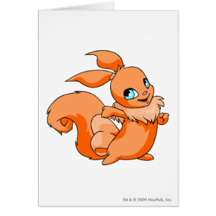 Orange d'Usul