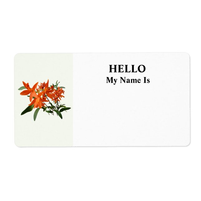 Orange Epidendrum Orchid (Front)