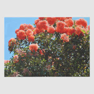 Orange Eucalyptus Flower Tree, Tissue Paper