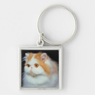 Orange Eyed and Cute Cat Keychain