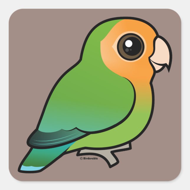 Orange-faced Peach-faced Lovebird Square Sticker (Front)