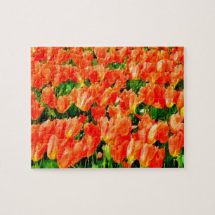 Orange field of tulips jigsaw puzzle