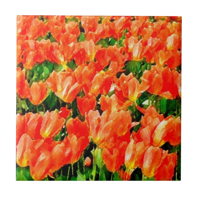 Orange field of tulips tile (Front)