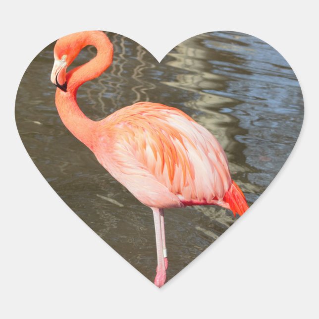 Orange Flamingo Photo Heart Sticker (Front)