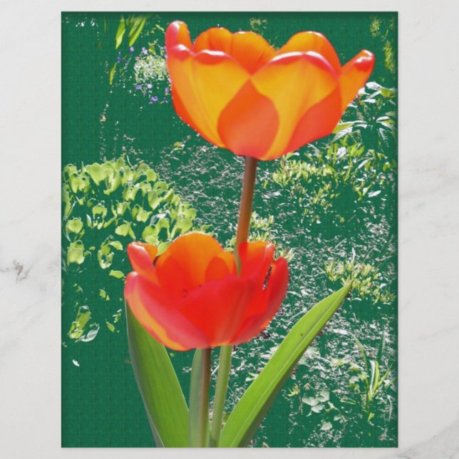 Orange Flower (Front)