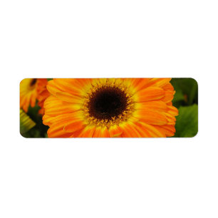 Orange Flower Address Label