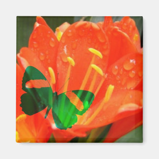 Orange Flower Butterfly Square Magnet