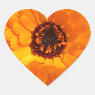 Orange Flower Heart Sticker