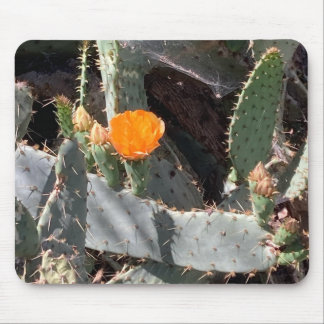 Orange Flower in a Cactus in Balboa Park Mouse Pad