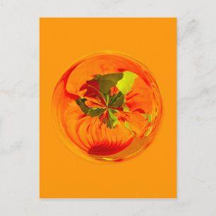 Orange flower in globe postcard