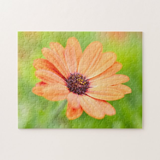 Orange Flower Jigsaw Puzzle (Horizontal)