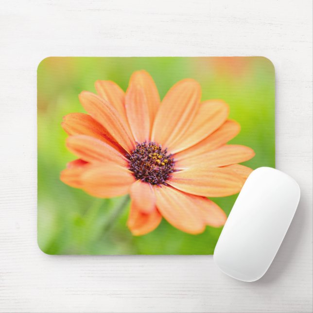 Orange Flower  Mouse Pad (With Mouse)