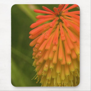 Orange Flower Mouse Pad