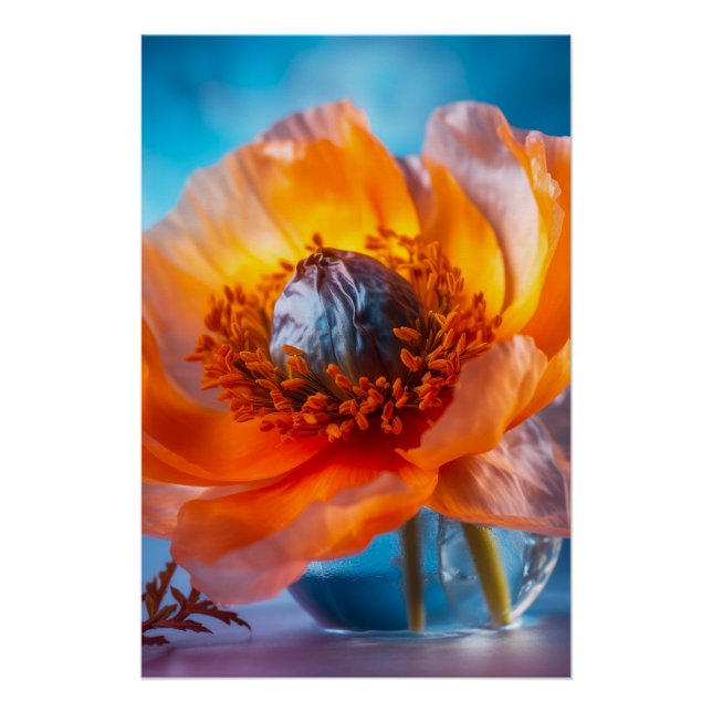 Orange Flower  Poster (Front)