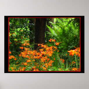 Orange Flowers in Forest Poster