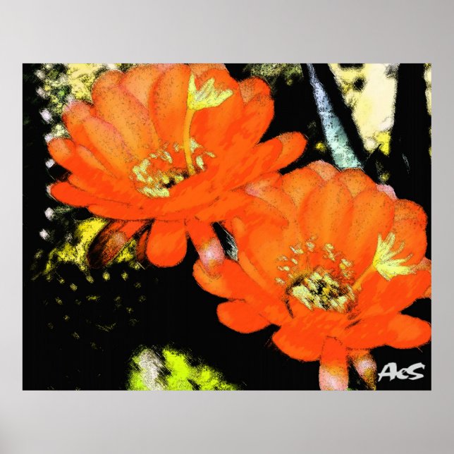ORANGE FLOWERS POSTER (Front)