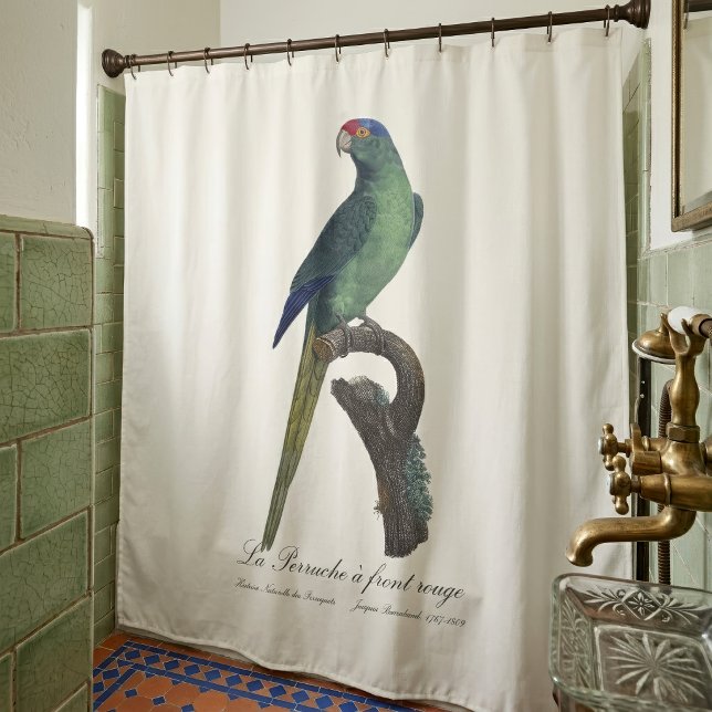 Orange-Fronted Parakeet, Eupsittula Canicularis (Orange-Fronted Parakeet, Eupsittula Canicularis. Shower Curtain)