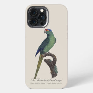 Orange-Fronted Parakeet, Eupsittula Canicularis iPhone 13 Pro Max Case
