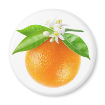 Orange fruit and flowers