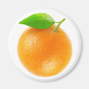 Orange fruit magnet