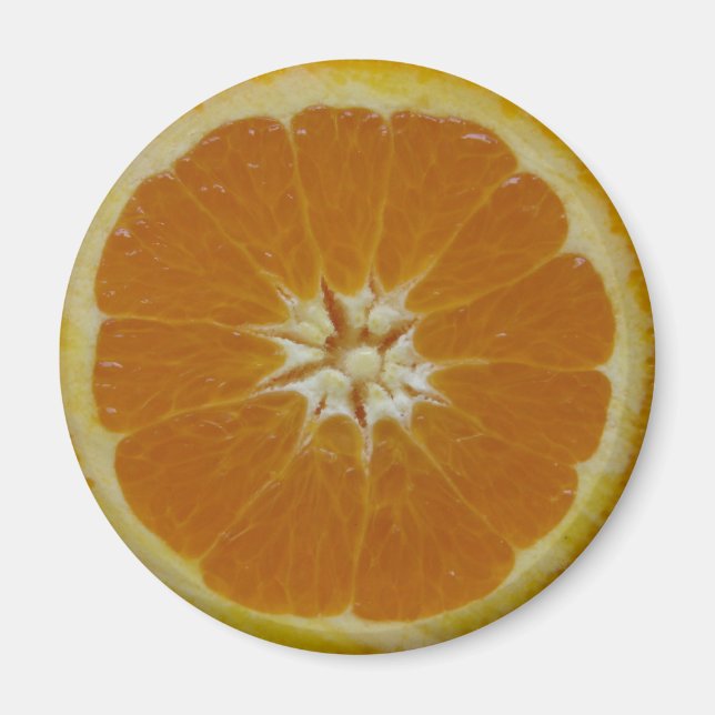 Orange Fruit Slice Magnet (Front)
