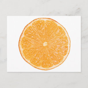 Orange fruit slice postcard