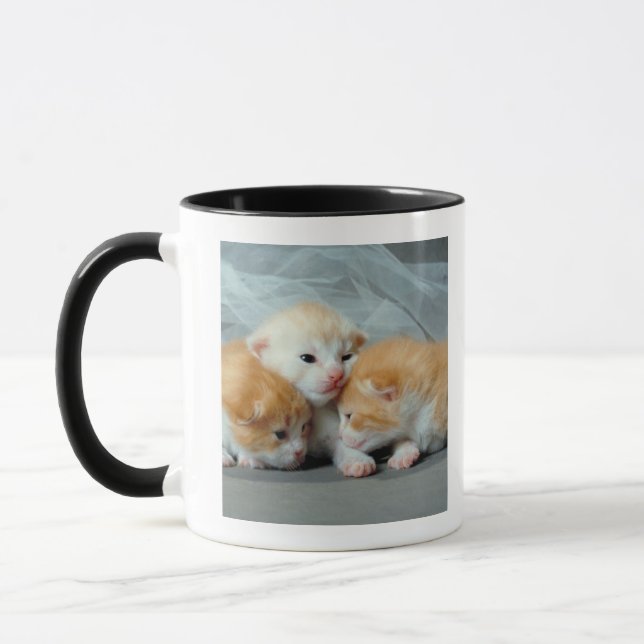 Orange Fur Kittens Mug (Left)