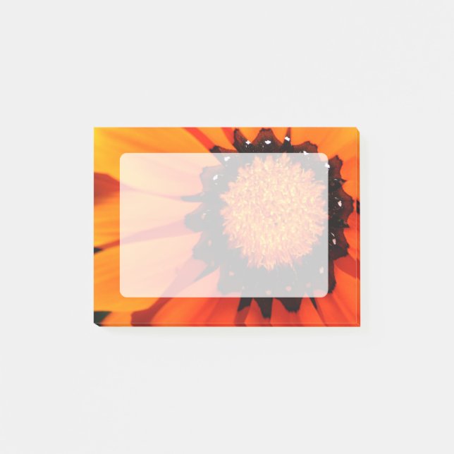 Orange Gazania Post-it Notes (Front)