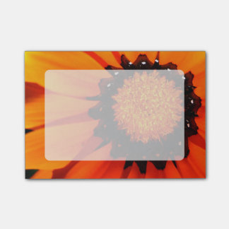 Orange Gazania Post-it Notes