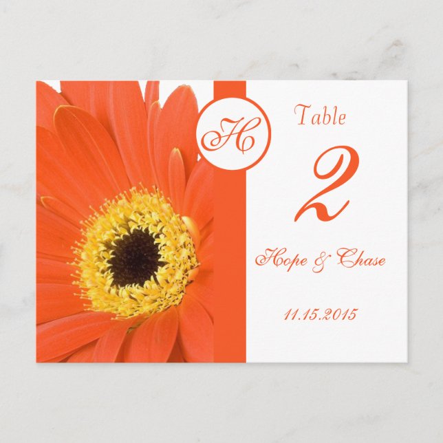 Orange Gerber Daisy Tableau Numéro Cartes (Devant)