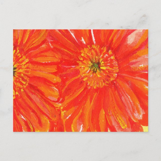 Orange Gerber Postcards (Front)