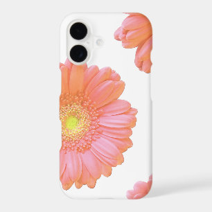 Orange gerbera daisy