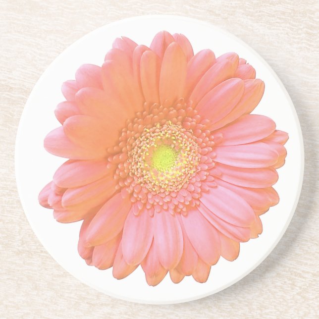 Orange gerbera daisy coaster (Front)