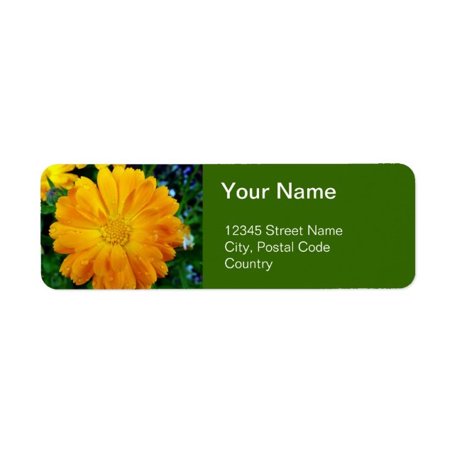 orange gerbera daisy flower mailing labels (Front)